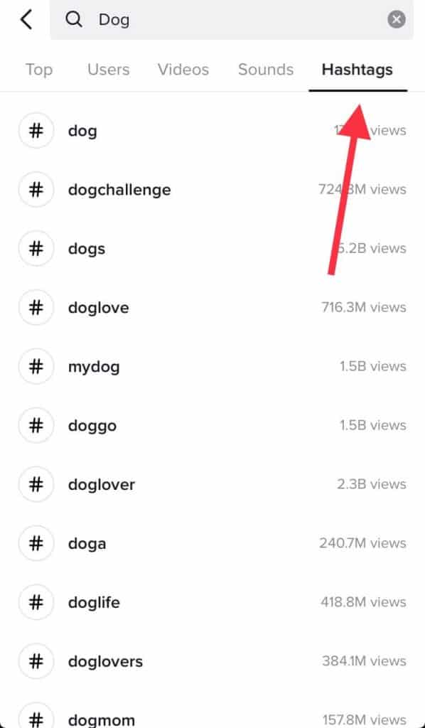 screenshot of tiktok search